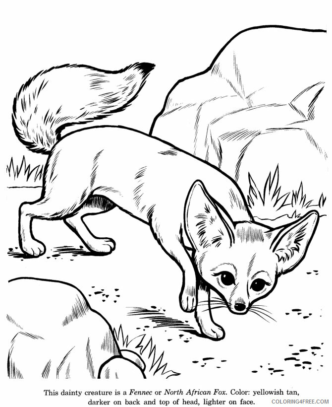 Fox Coloring Sheets Animal Coloring Pages Printable 2021 1849 Coloring4free