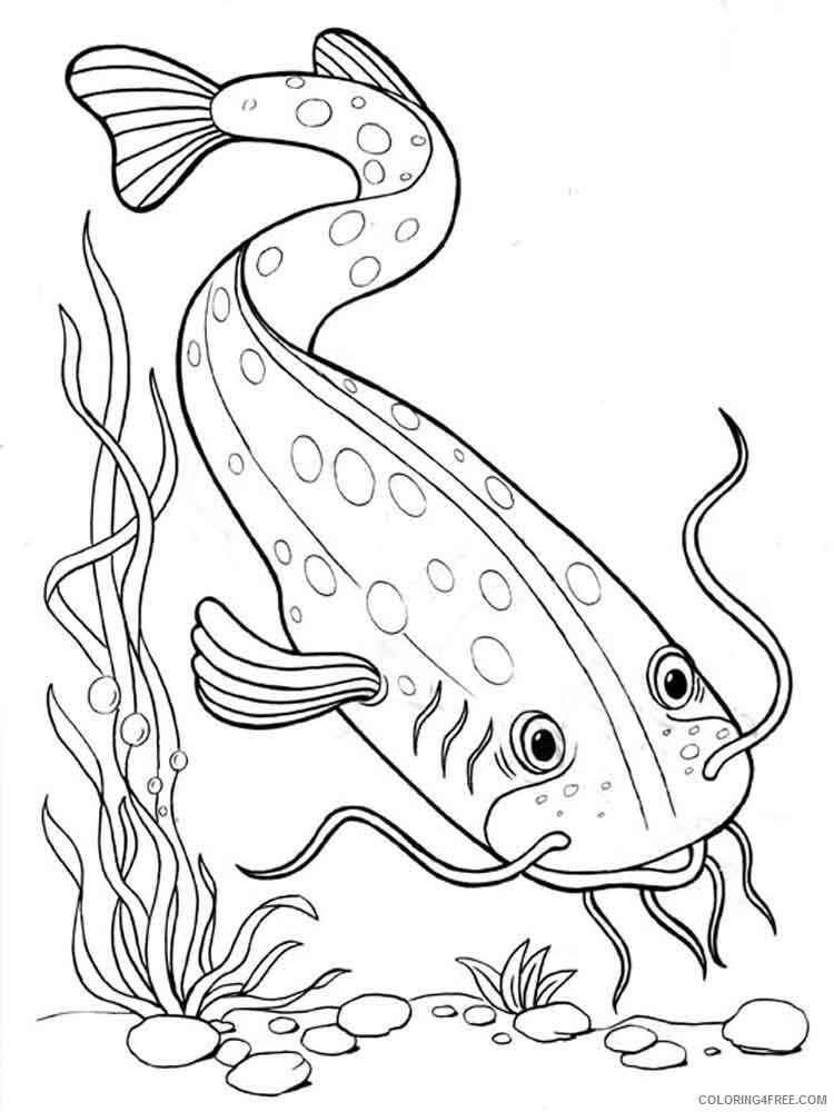 Freshwater Fish Coloring Pages Animal Printable Sheets Freshwater Fish 2021 2243 Coloring4free