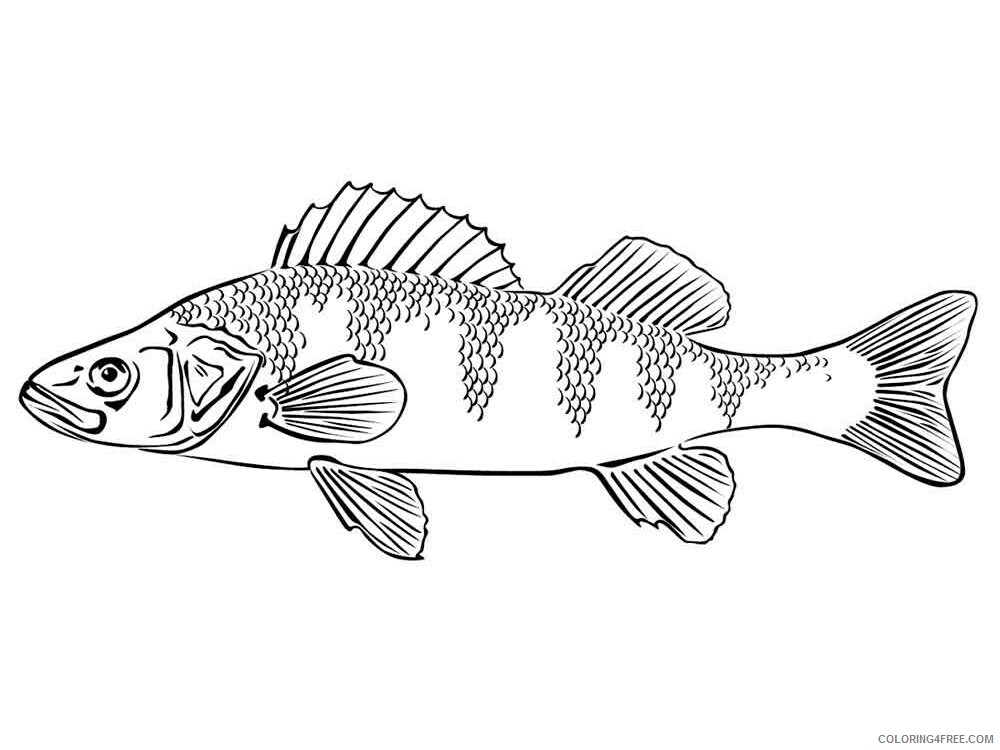 Freshwater Fish Coloring Pages Animal Printable Sheets Freshwater Fish 2021 2245 Coloring4free