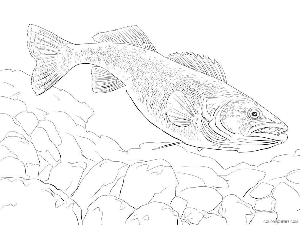Freshwater Fish Coloring Pages Animal Printable Sheets Freshwater Fish 2021 2246 Coloring4free