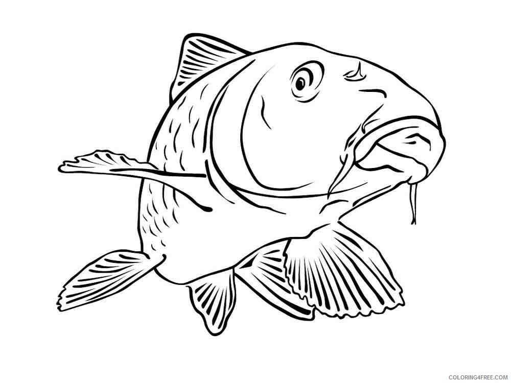 Freshwater Fish Coloring Pages Animal Printable Sheets Freshwater Fish 2021 2247 Coloring4free