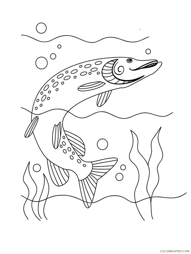 Freshwater Fish Coloring Pages Animal Printable Sheets Freshwater Fish 2021 2248 Coloring4free
