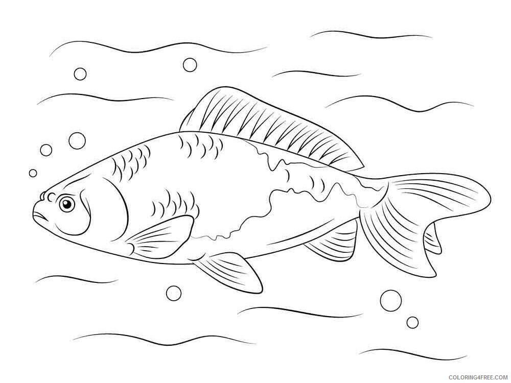 Freshwater Fish Coloring Pages Animal Printable Sheets Freshwater Fish 2021 2249 Coloring4free