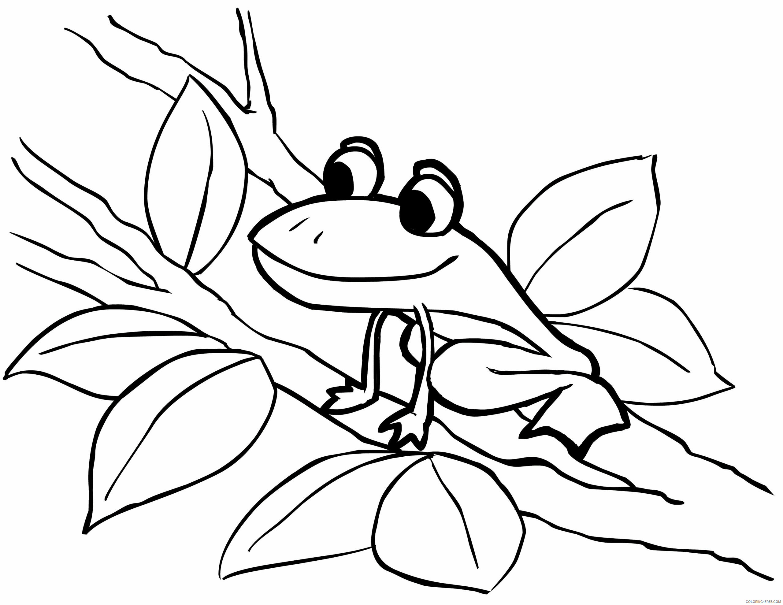 Frog Coloring Pages Animal Printable Sheets Cute Frog 2021 2274 Coloring4free