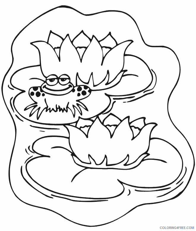 Frog Coloring Pages Animal Printable Sheets Cute Frog with Water Lilies 2021 2277 Coloring4free