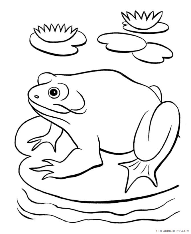 Frog Coloring Pages Animal Printable Sheets Frog 2021 2299 Coloring4free