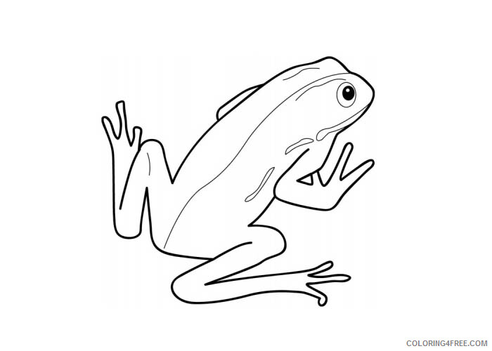 Frog Coloring Pages Animal Printable Sheets Frog 3 2021 2298 Coloring4free