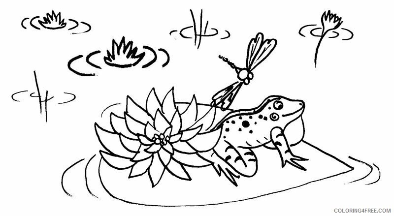 Frog Coloring Pages Animal Printable Sheets Frog Free 2021 2313 Coloring4free