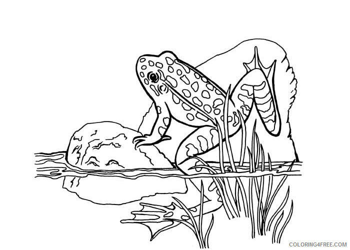Frog Coloring Pages Animal Printable Sheets Frogs free 2021 2330 Coloring4free