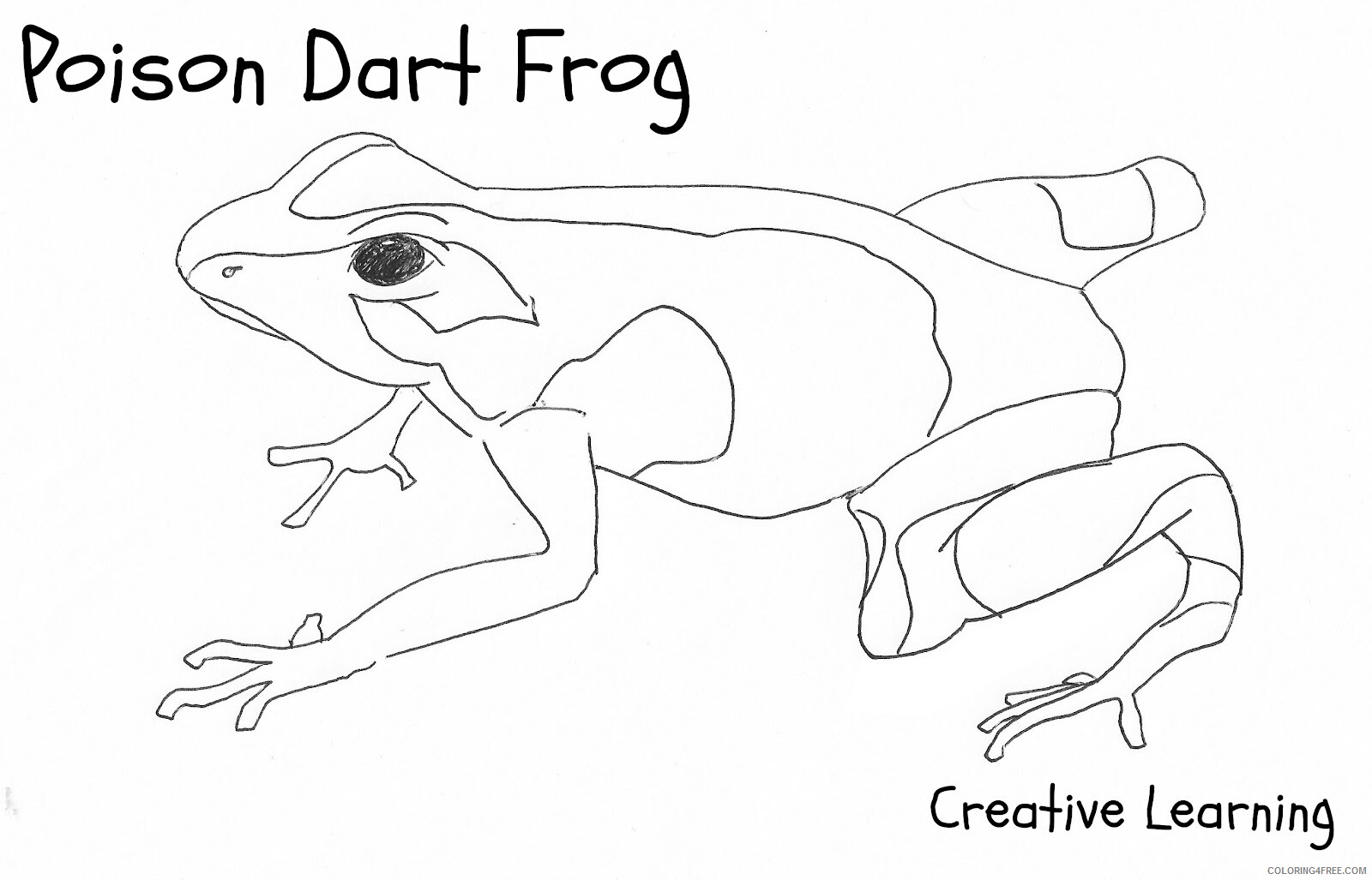Frog Coloring Pages Animal Printable Sheets Poison Dart Frog 2021 2335 Coloring4free