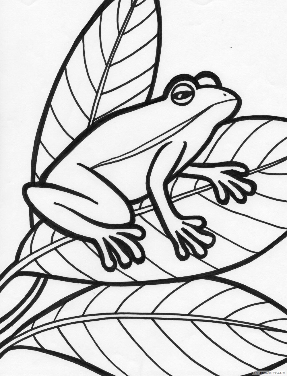Frog Coloring Pages Animal Printable Sheets Printable Frog 2021 2337 Coloring4free