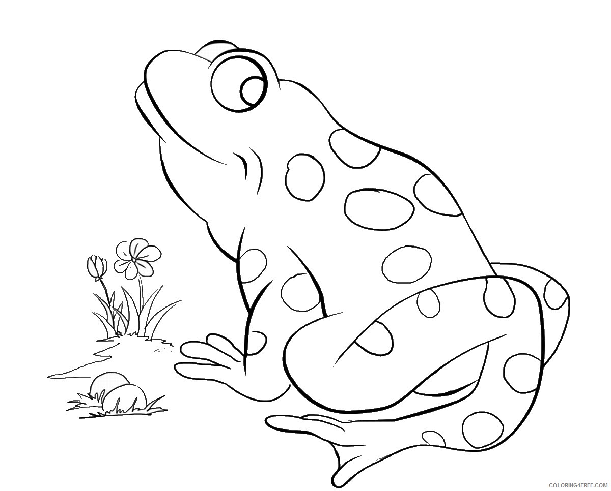 Frog Coloring Pages Animal Printable Sheets frog_cl_02 2021 2279 Coloring4free
