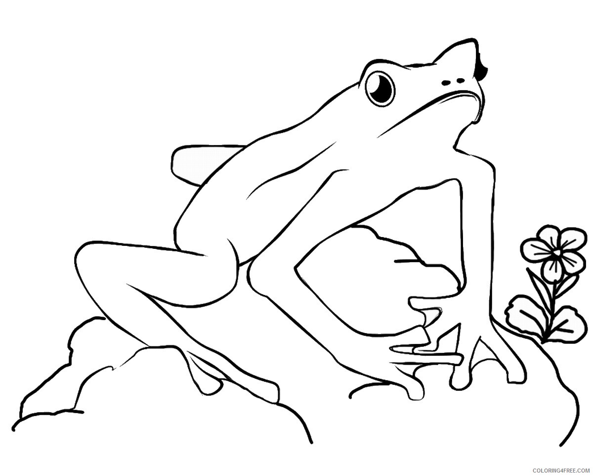 Frog Coloring Pages Animal Printable Sheets frog_cl_07 2021 2283 Coloring4free
