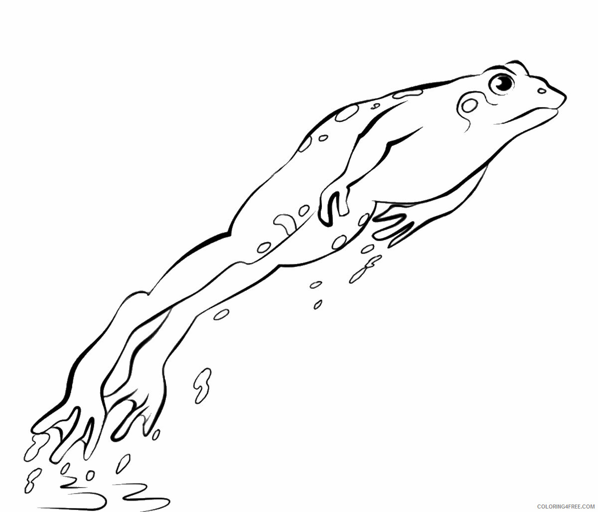 Frog Coloring Pages Animal Printable Sheets frog_cl_09 2021 2284 Coloring4free