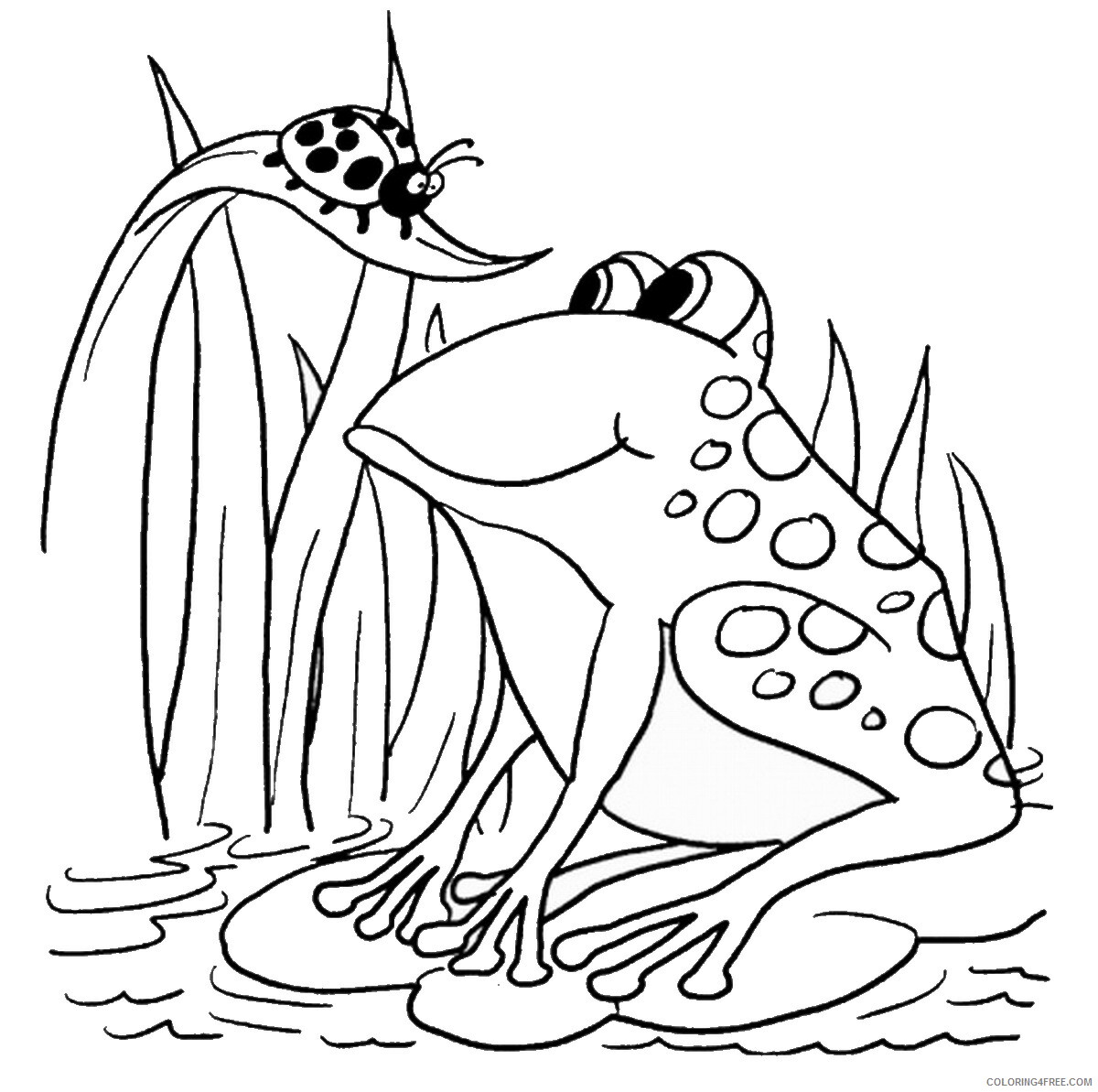 Frog Coloring Pages Animal Printable Sheets frog_cl_15 2021 2287 Coloring4free