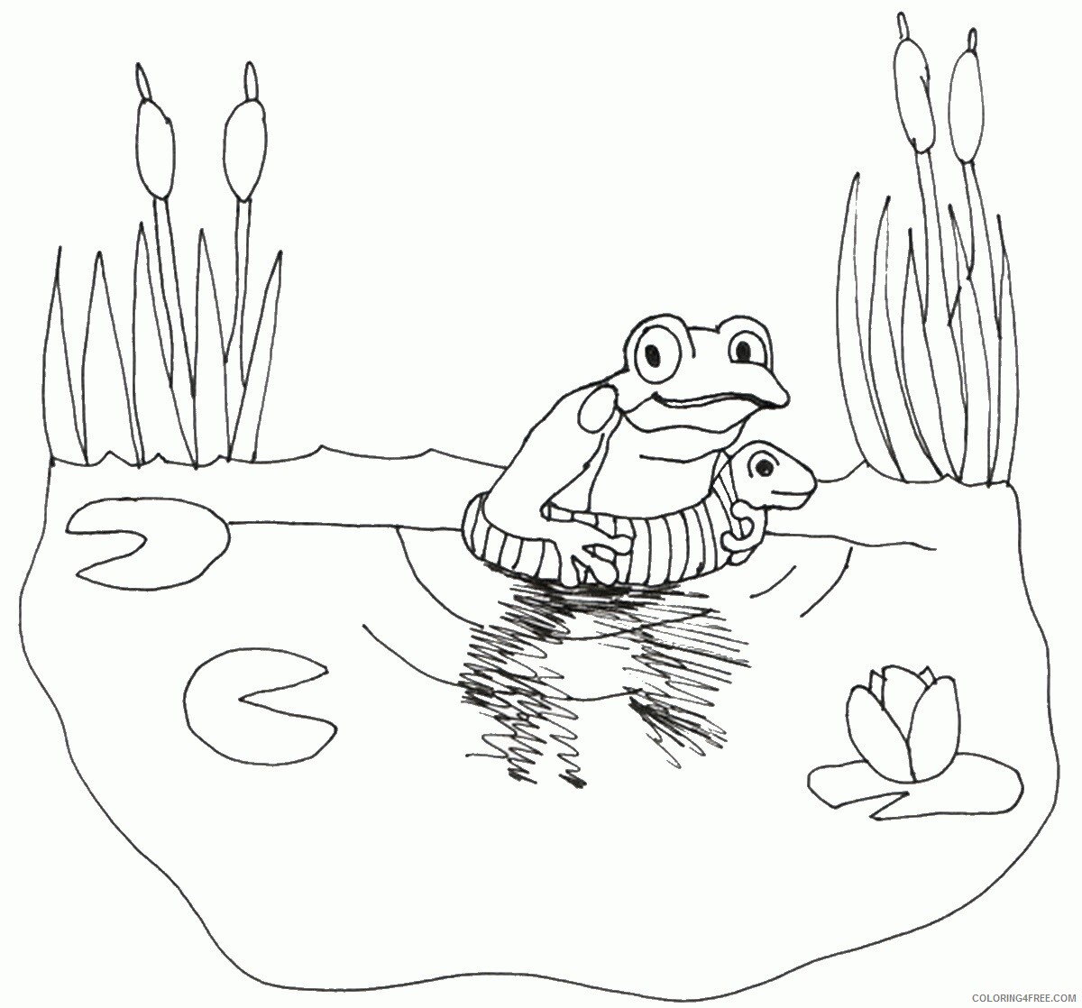 Frog Coloring Pages Animal Printable Sheets frogsc4 2021 2327 Coloring4free