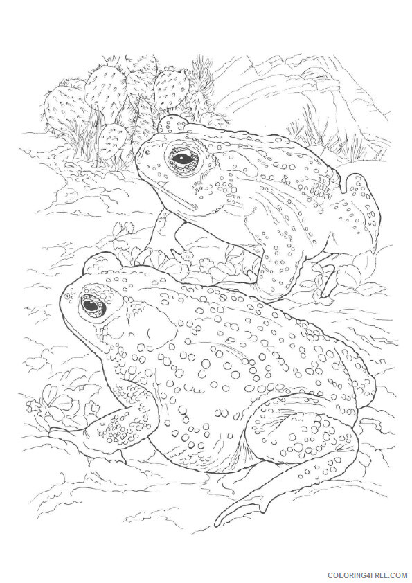 Frog Coloring Sheets Animal Coloring Pages Printable 2021 1883 Coloring4free