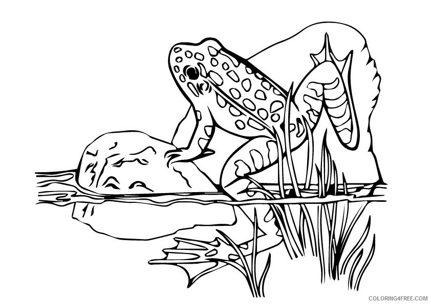 Frog Coloring Sheets Animal Coloring Pages Printable 2021 1885 Coloring4free