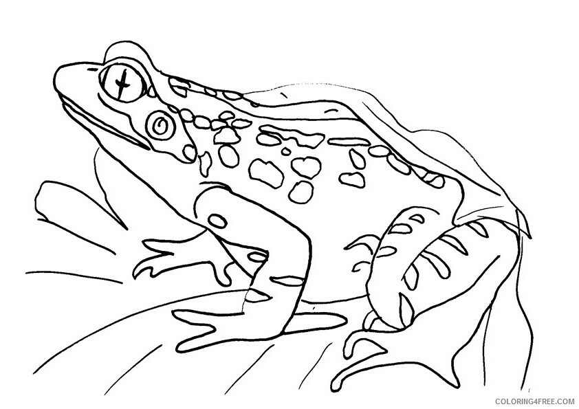 Frog Coloring Sheets Animal Coloring Pages Printable 2021 1890 Coloring4free