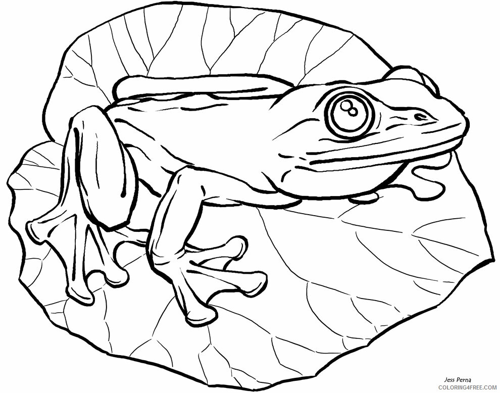 Frog Coloring Sheets Animal Coloring Pages Printable 2021 1892 Coloring4free