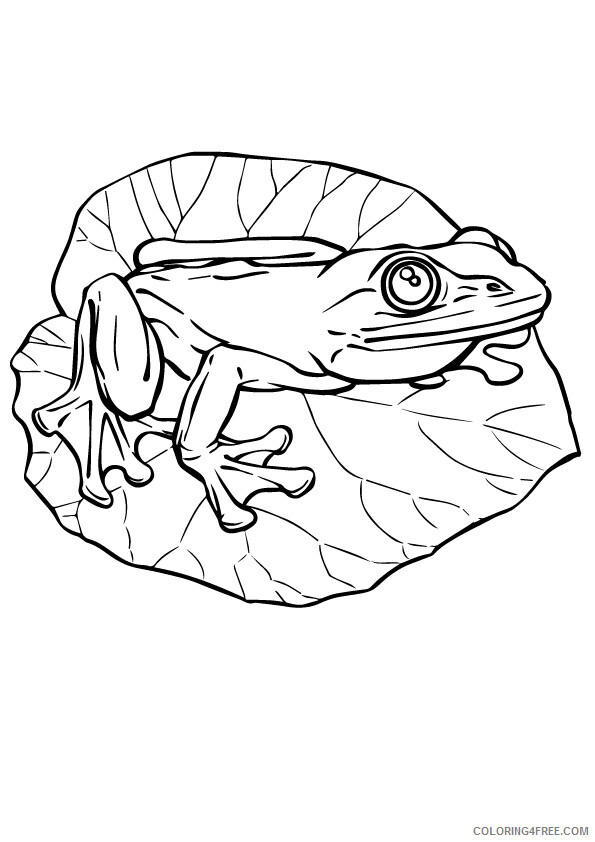 Frog Coloring Sheets Animal Coloring Pages Printable 2021 1894 Coloring4free