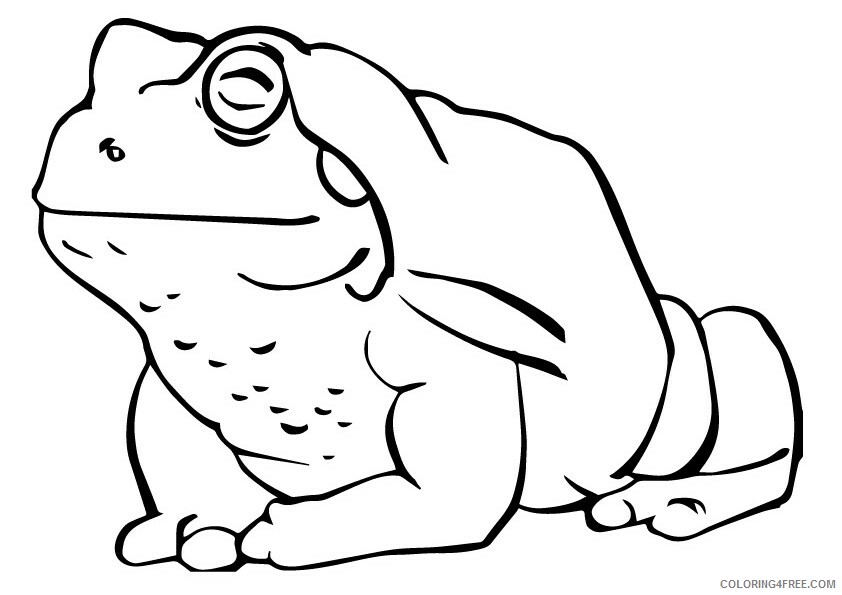 Frog Coloring Sheets Animal Coloring Pages Printable 2021 1899 Coloring4free