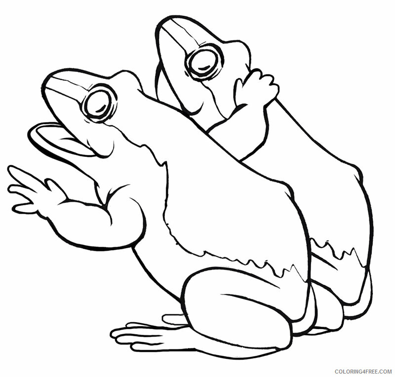 Frog Coloring Sheets Animal Coloring Pages Printable 2021 1906 Coloring4free