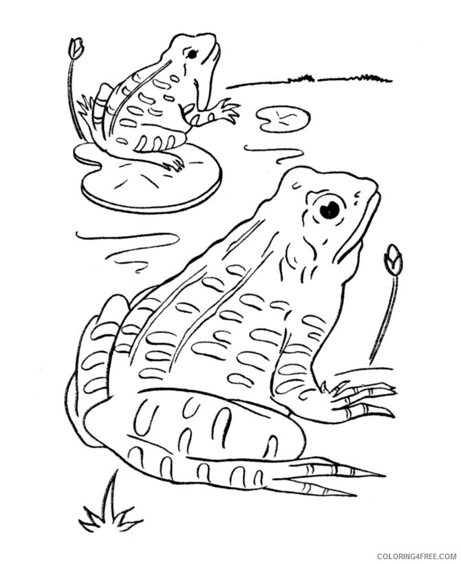 Frog Coloring Sheets Animal Coloring Pages Printable 2021 1928 Coloring4free