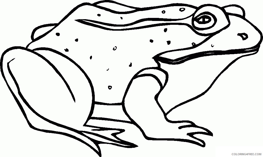 Frog Coloring Sheets Animal Coloring Pages Printable 2021 1937 Coloring4free