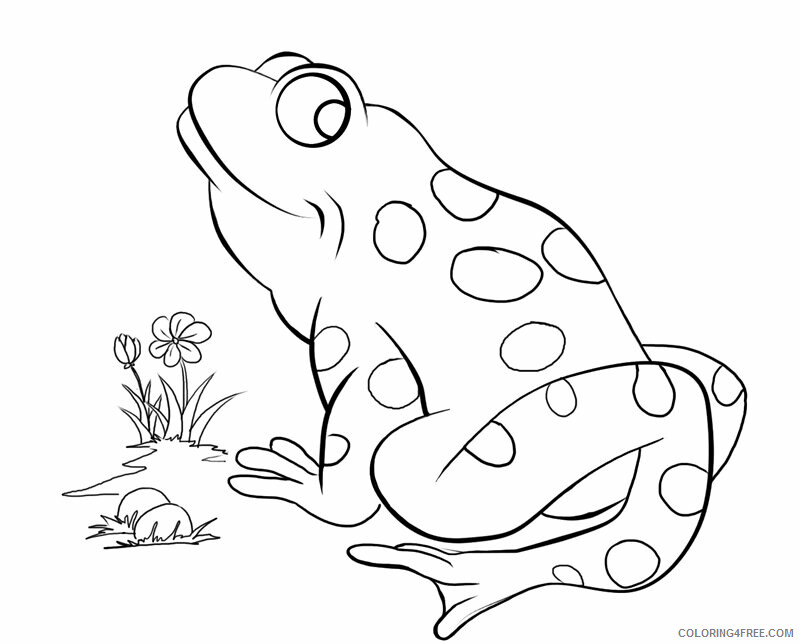 Frog Coloring Sheets Animal Coloring Pages Printable 2021 1946 Coloring4free