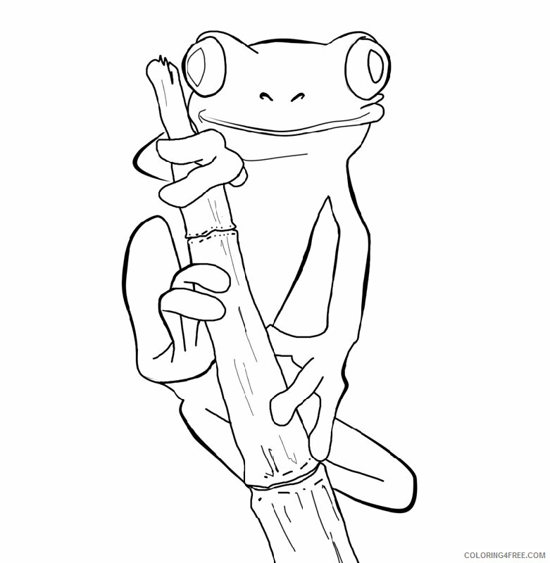Frog Coloring Sheets Animal Coloring Pages Printable 2021 1949 Coloring4free