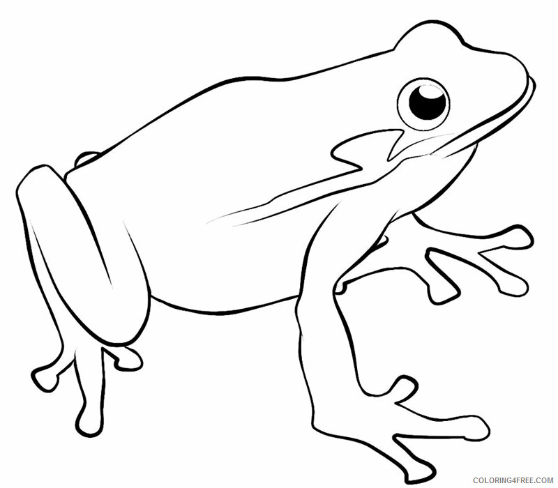 Frog Coloring Sheets Animal Coloring Pages Printable 2021 1950 Coloring4free
