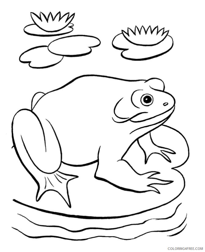 Frog Coloring Sheets Animal Coloring Pages Printable 2021 1952 Coloring4free