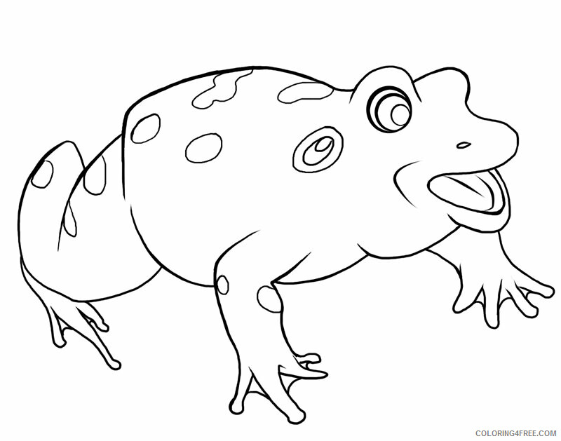 Frog Coloring Sheets Animal Coloring Pages Printable 2021 1955 Coloring4free