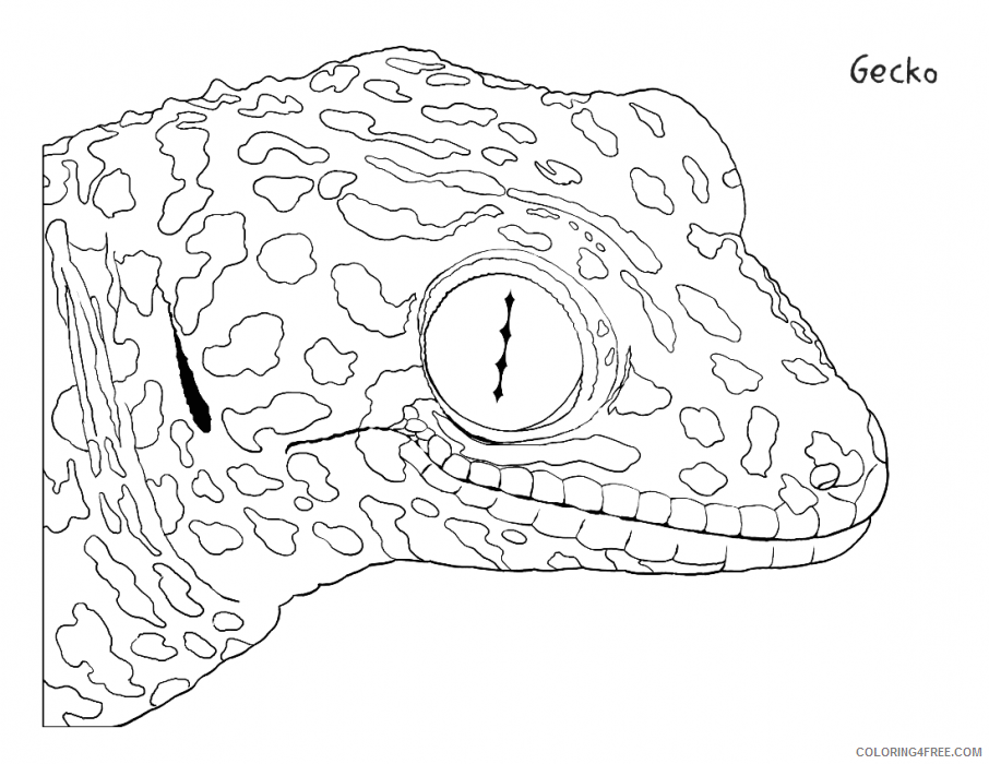 Gecko Coloring Sheets Animal Coloring Pages Printable 2021 1964 Coloring4free Coloring4free Com