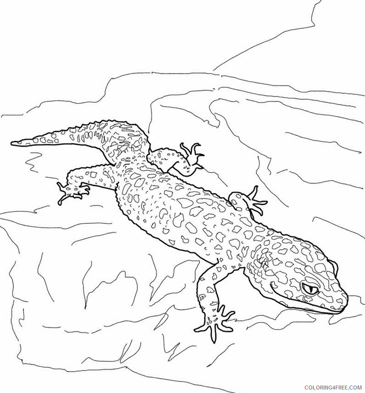 Gecko Coloring Sheets Animal Coloring Pages Printable 2021 1965 Coloring4free