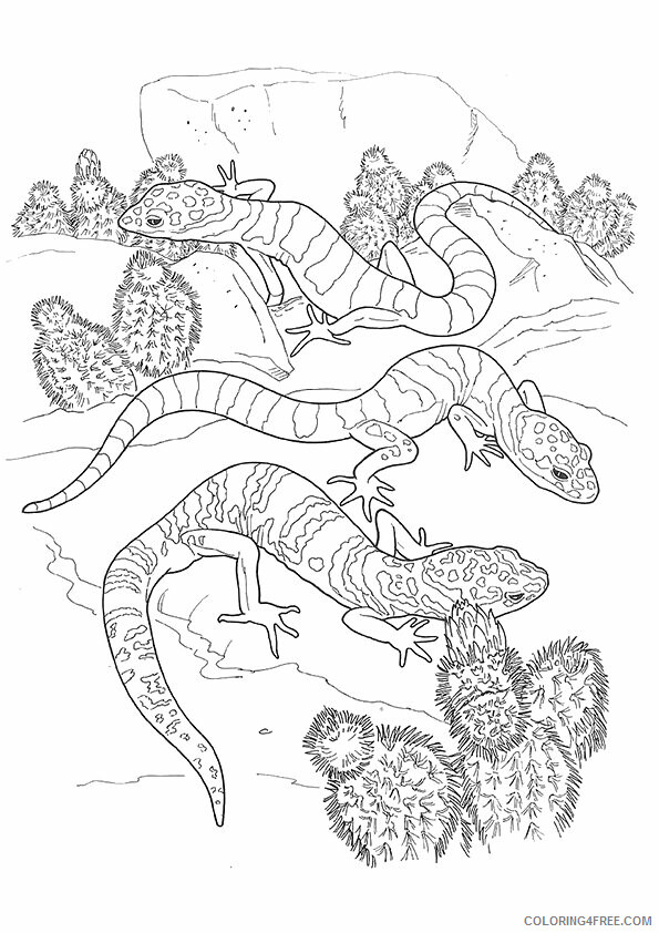 Gecko Coloring Sheets Animal Coloring Pages Printable 2021 1966 Coloring4free