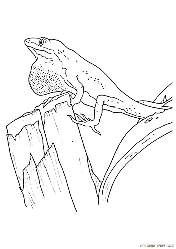 Gecko Coloring Sheets Animal Coloring Pages Printable 2021 1968 Coloring4free