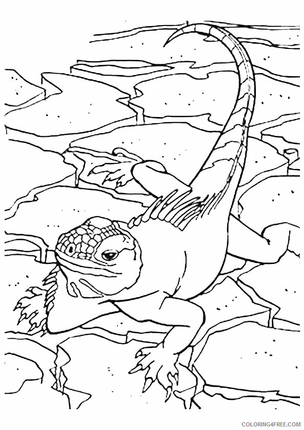 Gecko Coloring Sheets Animal Coloring Pages Printable 2021 1969 Coloring4free