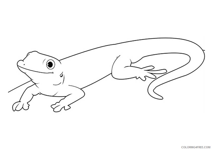 Gecko Coloring Sheets Animal Coloring Pages Printable 2021 1974 Coloring4free Coloring4free Com