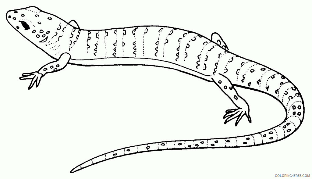 Gecko Coloring Sheets Animal Coloring Pages Printable 2021 1975 Coloring4free