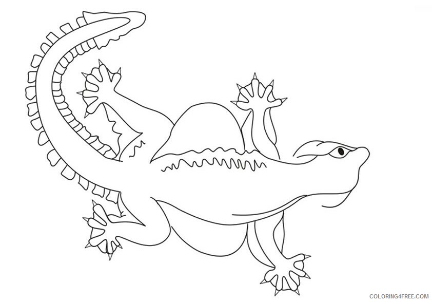 Gecko Coloring Sheets Animal Coloring Pages Printable 2021 1976 Coloring4free