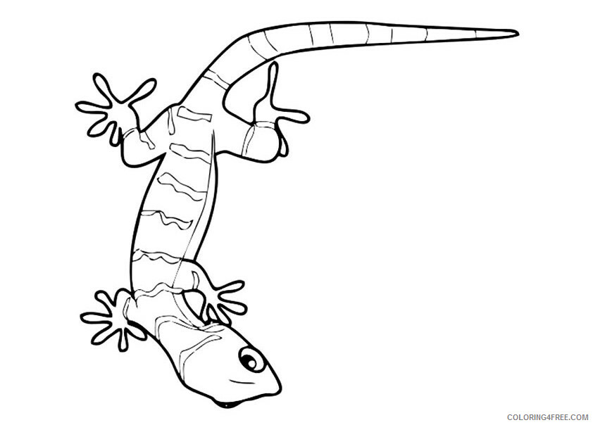 Gecko Coloring Sheets Animal Coloring Pages Printable 2021 1978 Coloring4free