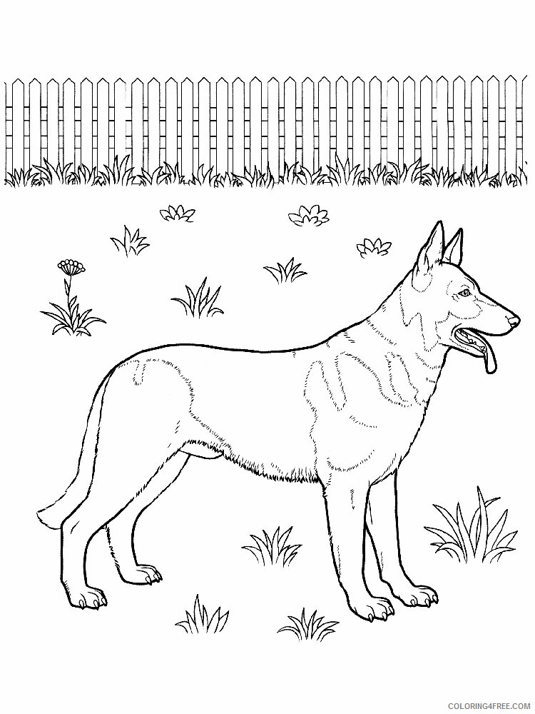 German Shepherd Coloring Pages Animal Printable Sheets 2021 2350 Coloring4free