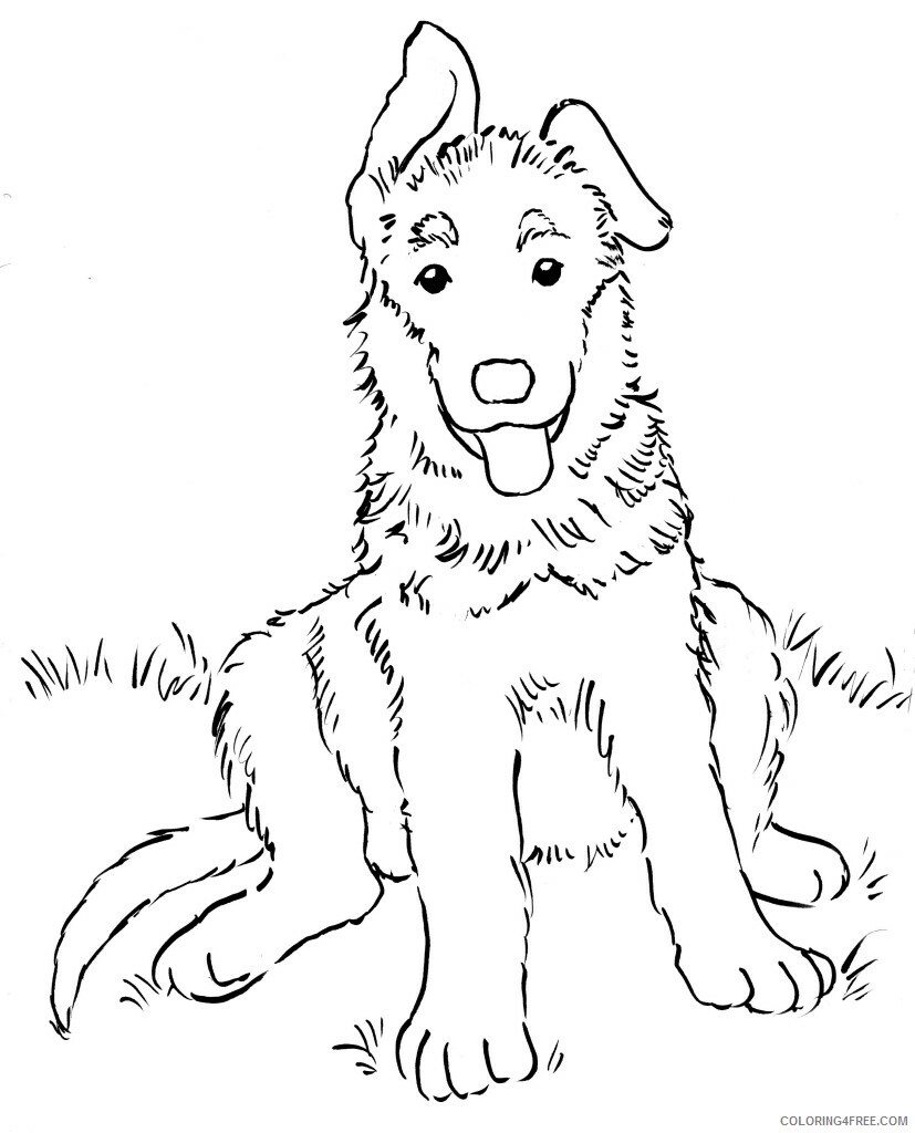 German Shepherd Coloring Pages Animal Printable Sheets Puppy 2021 2358 Coloring4free