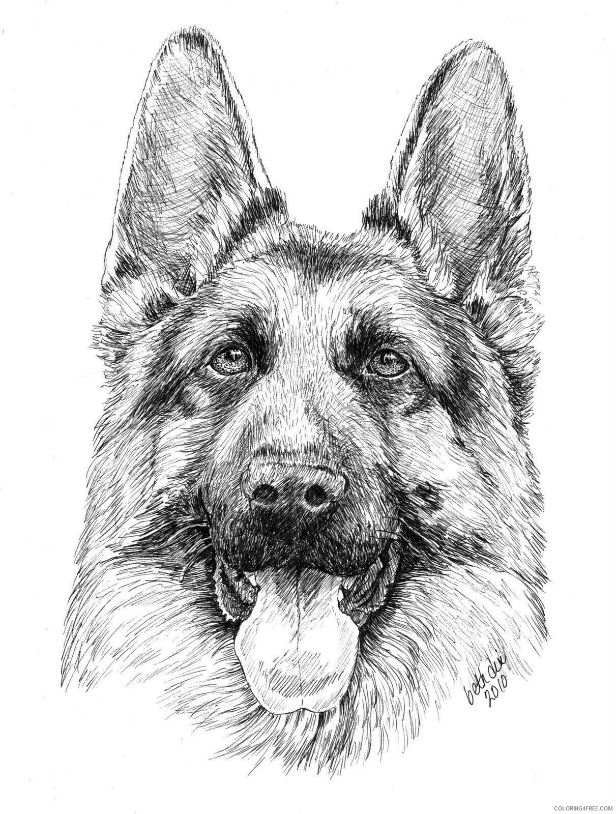 German Shepherd Coloring Pages Animal Printable Sheets Realistic Drawing to 2021 Coloring4free