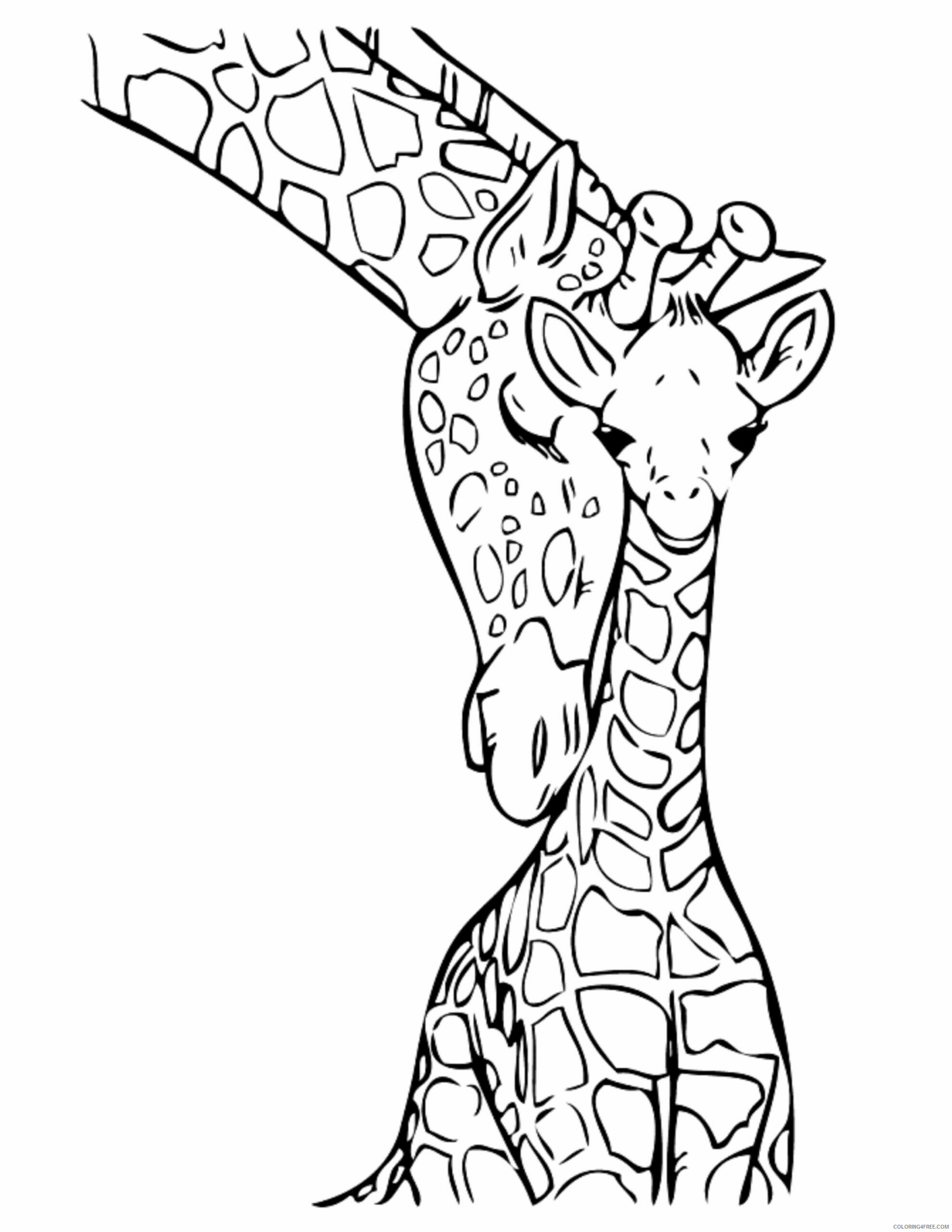 Giraffe Coloring Pages Animal Printable Sheets Baby Giraffe Jungle 2021 2378 Coloring4free