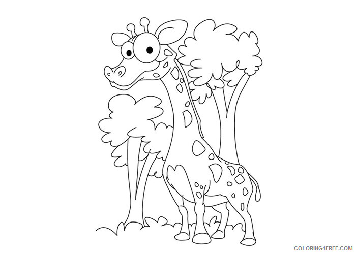 Giraffe Coloring Pages Animal Printable Sheets Baby giraffe for kids 2 2021 2376 Coloring4free