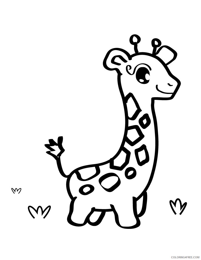 Giraffe Coloring Pages Animal Printable Sheets Giraffe 2021 2401 Coloring4free