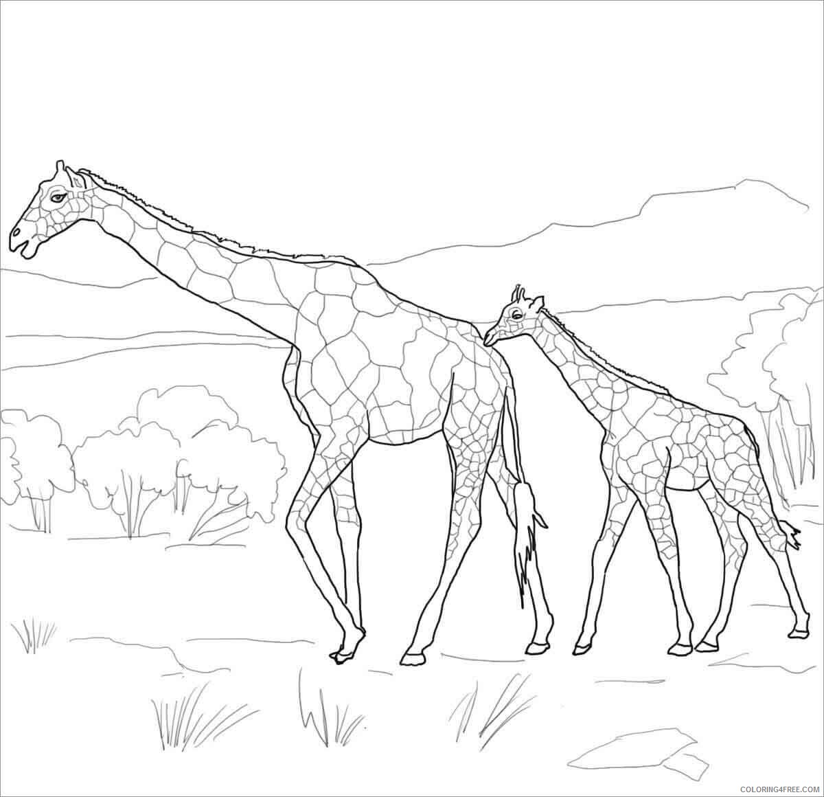 Giraffe Coloring Pages Animal Printable Sheets Giraffe Moms and Baby 2021 2420 Coloring4free